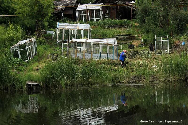 Водный Союз Курган. Архипов Водный Союз Курган. Сайт водного союза