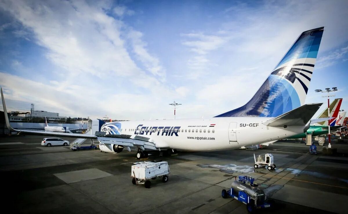 Egyptair купить билет. ЭИП Каир Боинг 737. EGYPTAIR на обои. EGYPTAIR. EGYPTAIR.com.