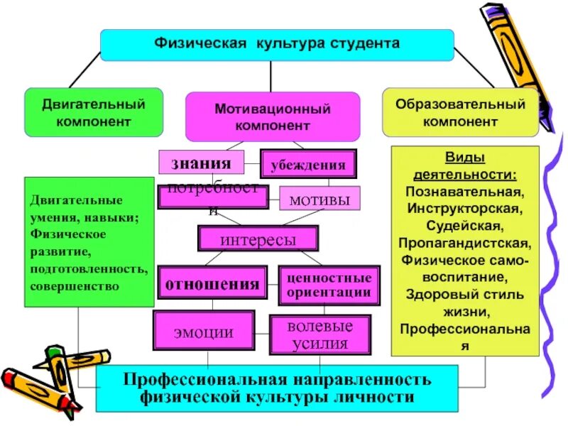 Физическая культура личности. Компонент физической культуры. Компоненты физической культуры личности. Физическая культура личности студента.