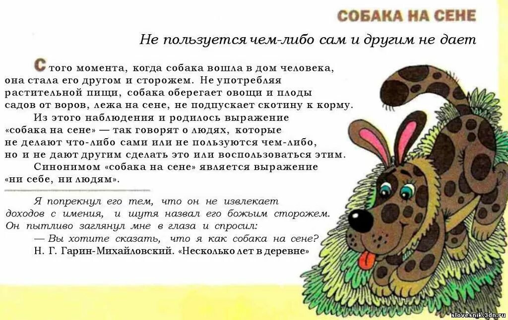 Что значит выражение собака. Собака на сене фразеологизм. Фразеологизмы про собаку. Собака на сене значение фразеологизма. Как собака на сене.