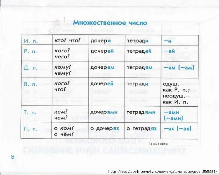 Морковь множественное число