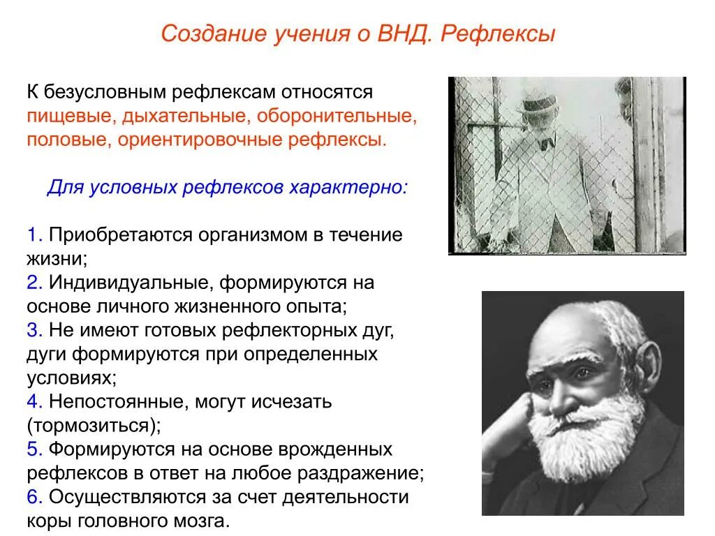 Учение о высшей нервной деятельности термины. Физиологические основы высшей нервной деятельности. Высшая нервная деятельность Ре. Высшая нервная деятельность рефлексы.