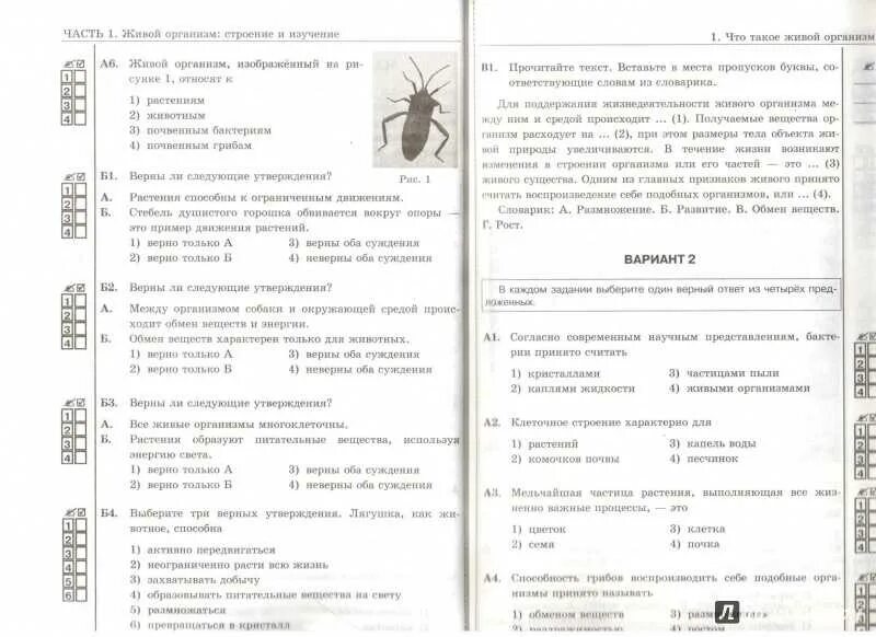 Тест многообразие живых. Биология 5 класс тесты к учебнику Пономаревой. Проверочные тесты по биологии 5 класс. Тесты биология 5 класс Пономарева. Биология тест 5 класс с ответами 4 четверть.