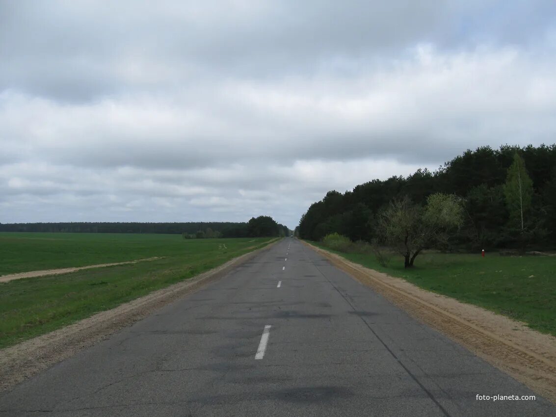 Погода в быхове на месяц. Дунаек быховский район деревня. Погода в быхове на месяц. Дунаек быховский район деревня. Д селец могилевской области осиповичский район.
