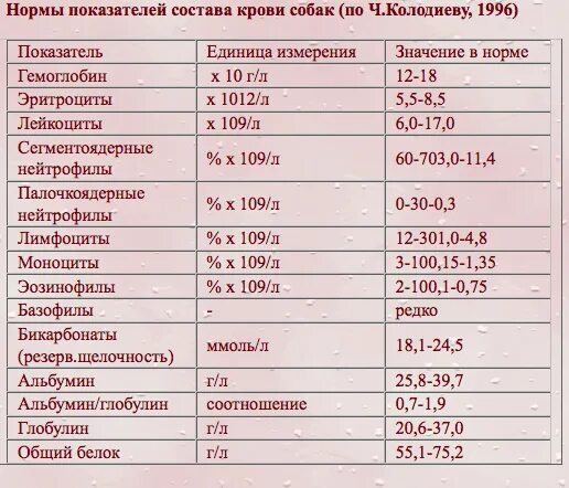 Норма глюкозы у собак. Нормативные показатели крови у собак. Показатели крови у собак норма. Показатели сахара в крови у собак. Нормальные показатели крови у щенков.