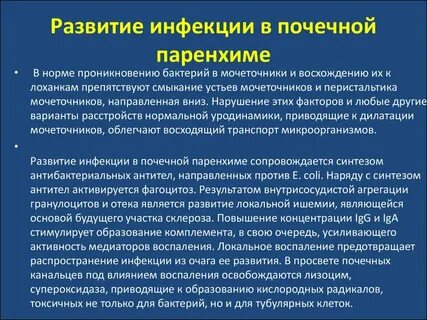 Какие инфекции мочеполовой системы