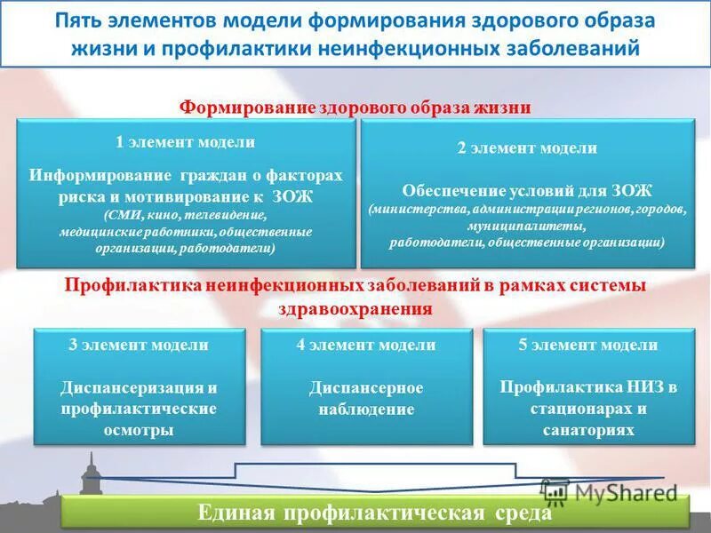 Программы профилактики неинфекционных заболеваний. Профилактика хронических неинфекционных заболеваний. профилактика факторов риска неинфекционных заболеваний. алгоритм работы по профилактике неинфекционных заболеваний. профилактика заболеваний и формирование здорового образа жизни.
