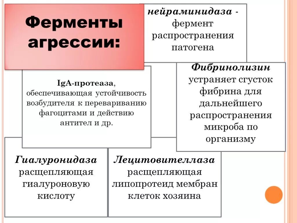 Защитные факторы микроорганизма. Защитные факторы микроорганизма. Факторы адгезии микробиология. Факторы неспецифической защиты слизистой оболочки. Естественные факторы защиты.