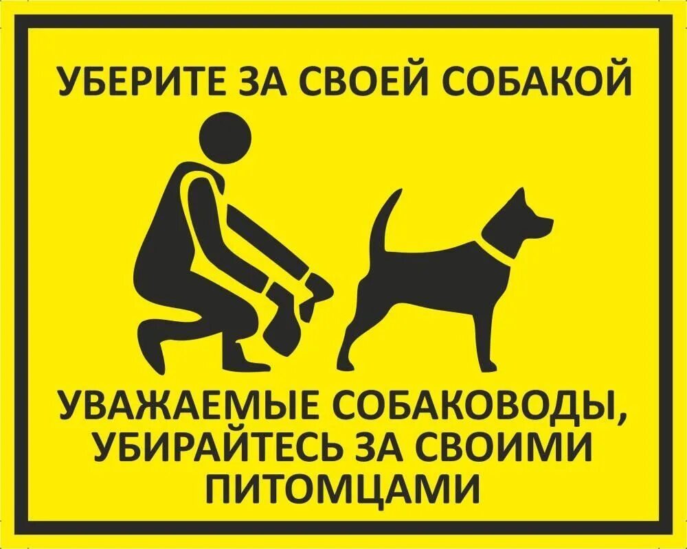 За собаками нужно убирать. Табличка убирать за собакой. Таблички об уборке за собаками. Убирайте за собаками знак. Табличка убери за своей собакой.