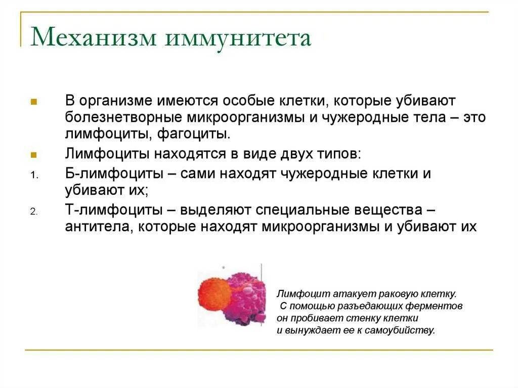 Что значит иммунная. Иммунитет презентация. Презентация на тему иммунитет. Презентация на тему иммунитет 8 класс. Иммунитет человека биология.