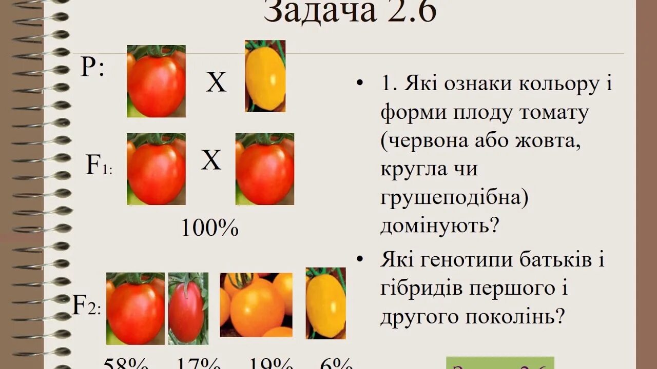 Каковы генотипы родителей и гибридов первого поколения. Формы плодов томата. Краснояр краска плодов тамада. Круглая форма плода томата доминирует. У томатов округлая форма плодов.