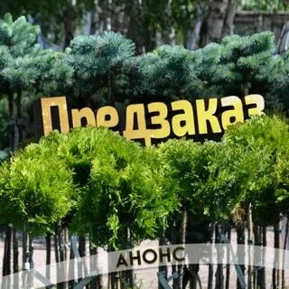 Питомник лист