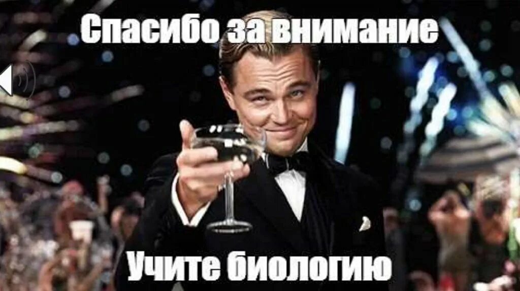 Картинка спасибо за внимание для презентации мем Спасибо за внимание для презентации мем смешные фото и картинки