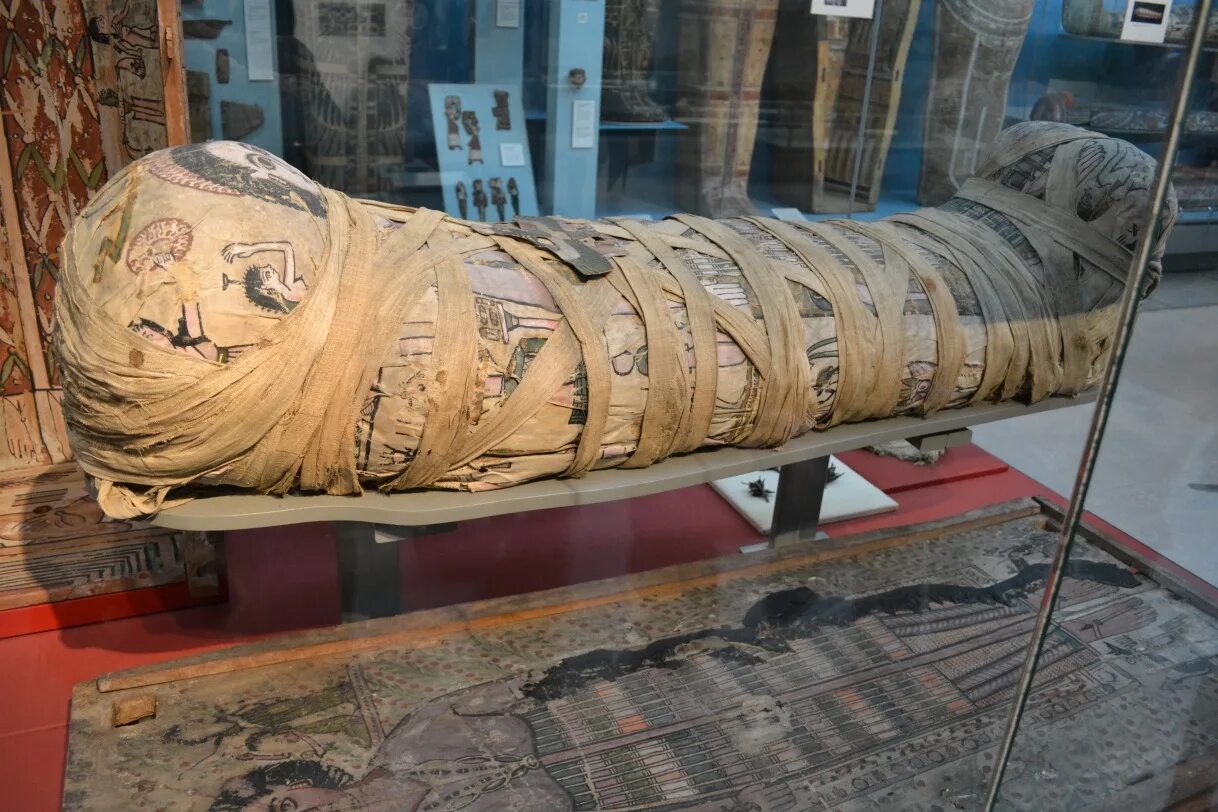 Мумии в британском музее. Египетские мумии в британском музее. Лувр Египетский зал Мумия. В каком музее лежит