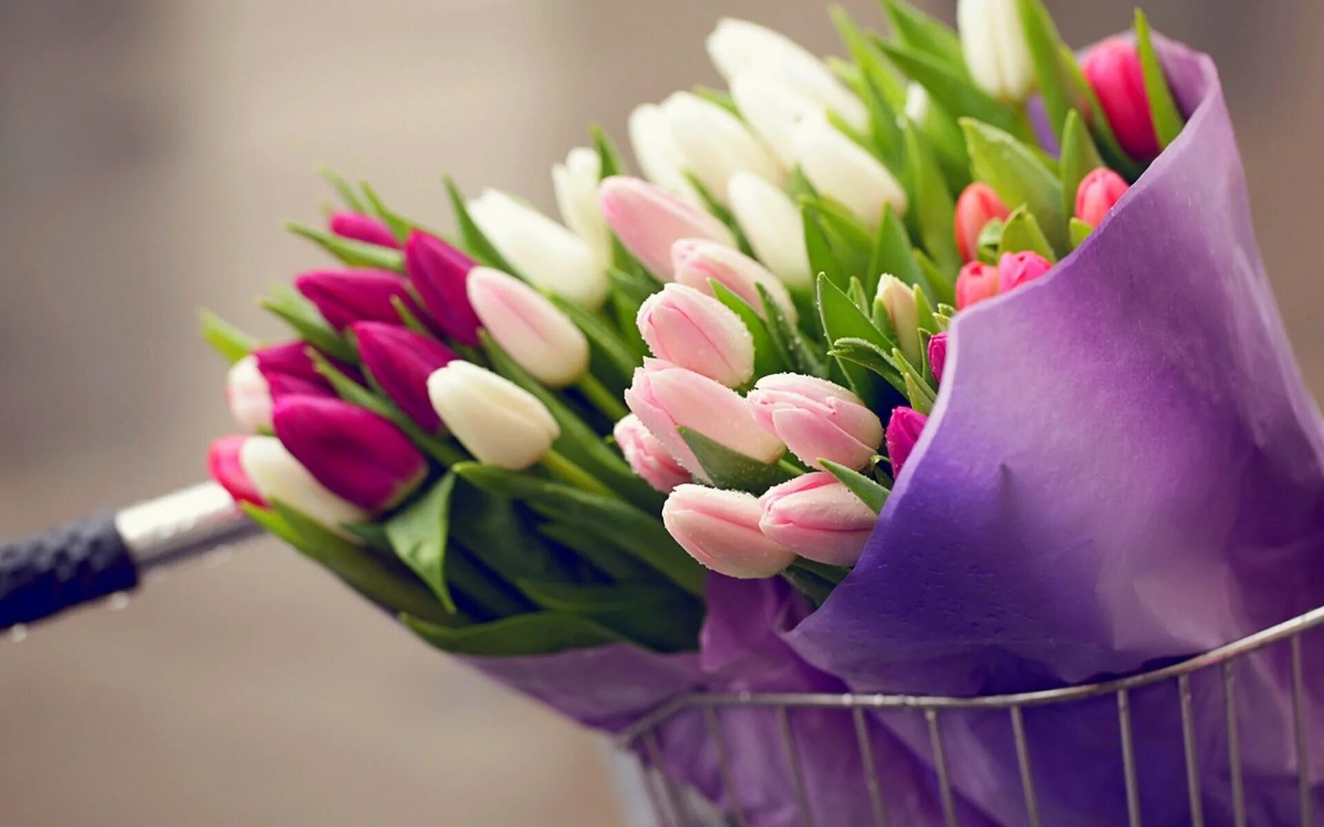 Букет весенних цветов. Цветы тюльпаны. Букет тюльпанов.