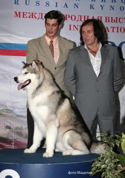 Иншаков ркф. Президент ркф иншаков александр. Голубев владимир семенович ркф. Президент ркф иншаков александр иванович. Каскадер александр иншаков собаки.