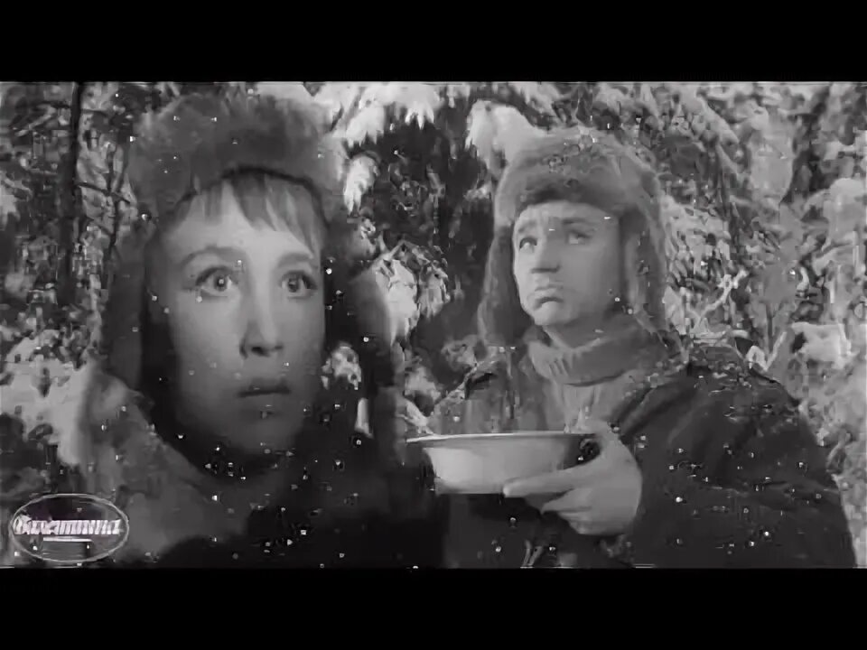 Песня из к ф девчата. Старый клён из кф девчата.