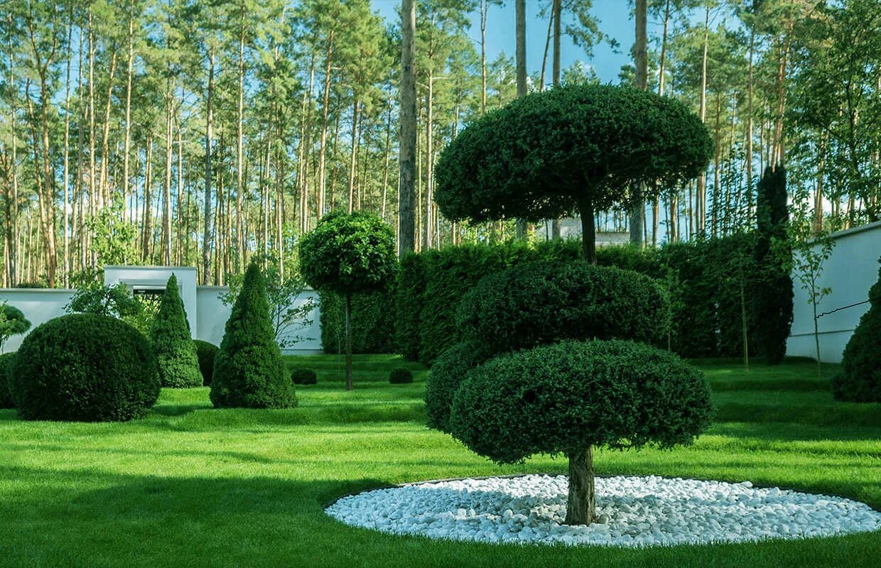 Ландшафтный дизайн greenhistory. Кеннеди Макрэ ландшафтный дизайнер. Жак Вирц ландшафтный Архитектор. Энди Стеджн ландшафтный дизайнер.