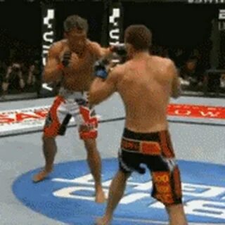 Take fight