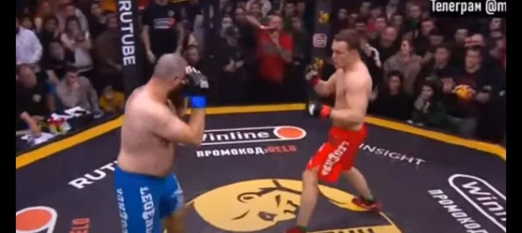 Лев против бой. Тарасов лазутин бой. Лев против бой. Михаил лазутин боец. Лев против бой.