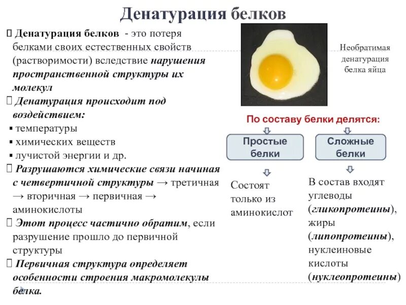 Процессы денатурации белка. Денатурация белка микробной клетки препараты. Денатурация белка микробной клетки. Структура белка денатурация. Механизм денатурации белков.