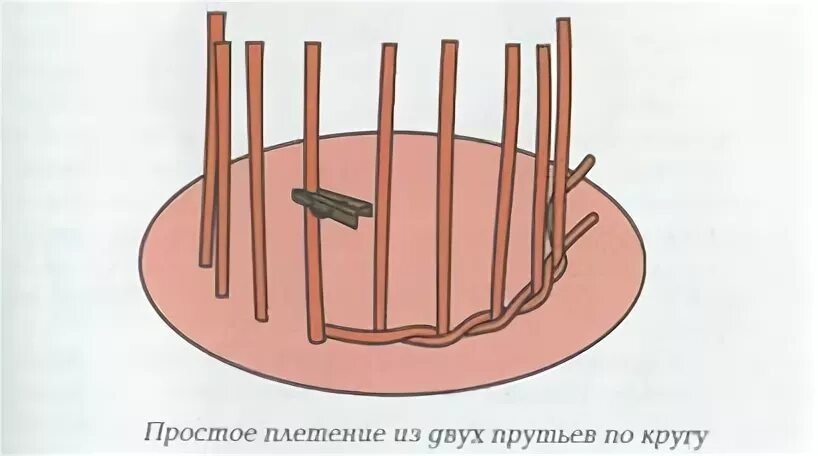 Прут двух