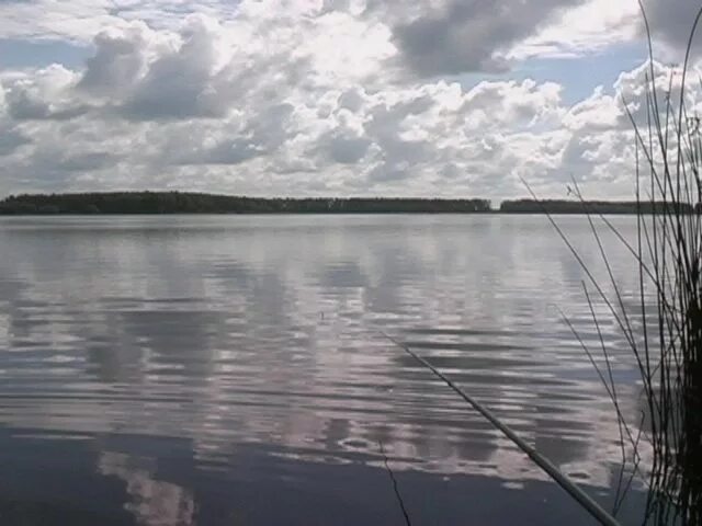 Тамбов шушпанское водохранилище. Шушпанское водохранилище тамбовской. Староюрьево тамбовская область шушпанское водохранилище. Шушранское водохранилище тамбов. Котовское водохранилище тамбовская.