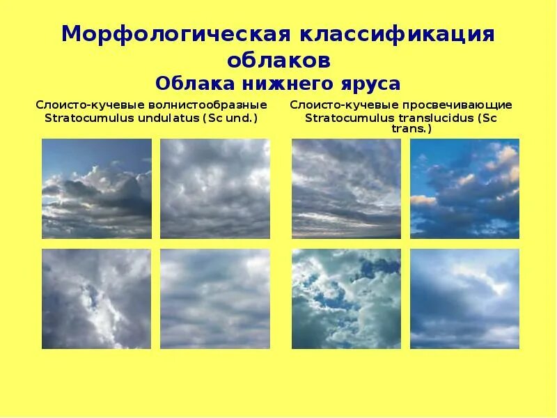 Погода какая облачность. Виды и типы облаков. Виды облачности. Виды облаков характеристика. Облачность бывает.