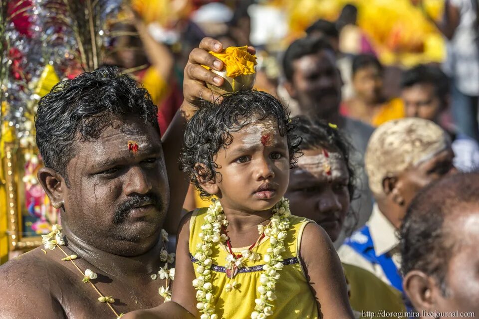 индия люди. название европейца в индии. индия люди мужчины. семья индия средний класс. бенгальцы маратхи.