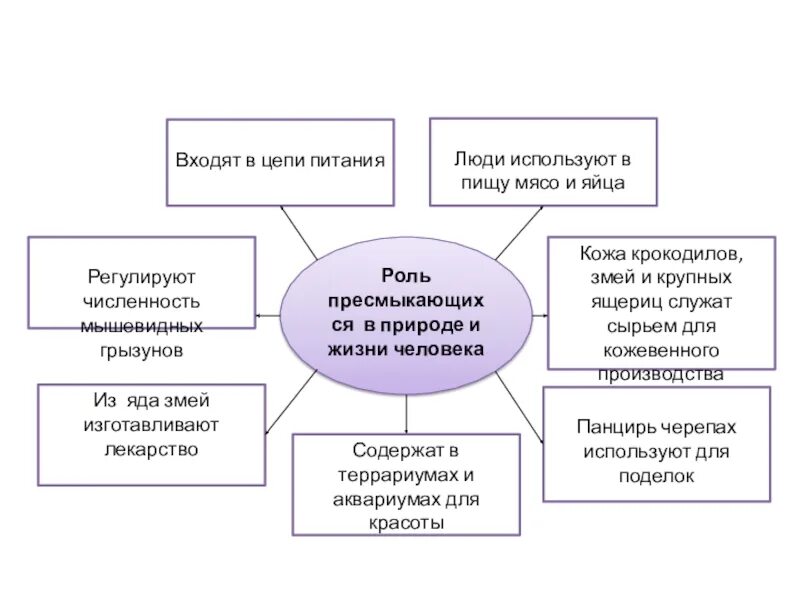 Значение пресмыкающихся в природе. Роль рептилий в природе и жизни человека. Пресмыкающиеся значение в природе и жизни человека. Значение рептилий в природе и жизни человека кратко. Значение черепах в природе и жизни человека