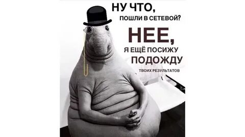 Анекдот подожду