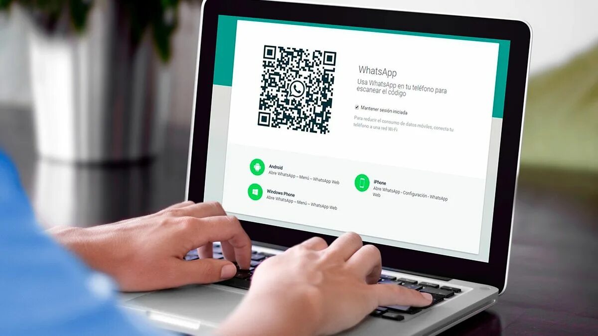 Ватсап web. Ватсап веб. WHATSAPP webp. Вацап вацап веб. What web.