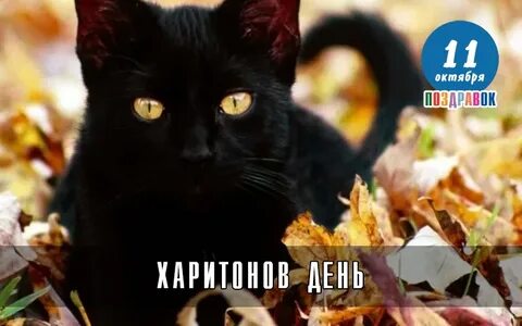 11 октября