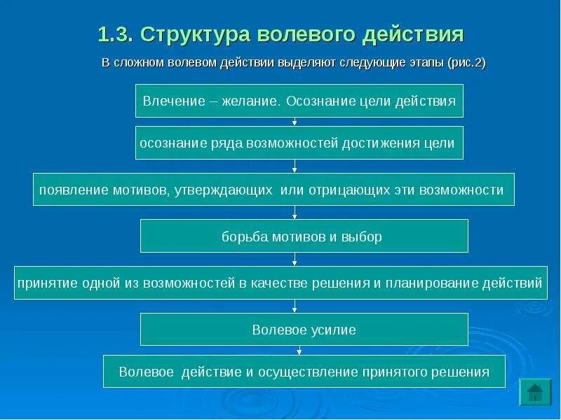 Он выделил в структуре