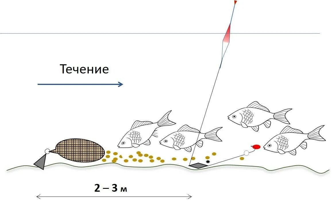 Чехонь на фидер оснастка. Схема монтажа донки. Фидер донка оснастка. Оснастка донной снасти на леща. Поплавочная удочка прикормка