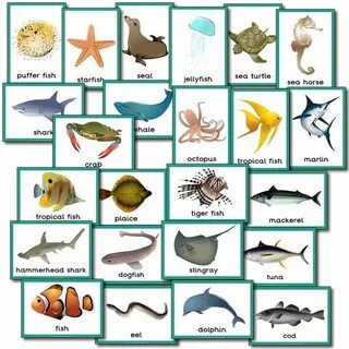 Sea names