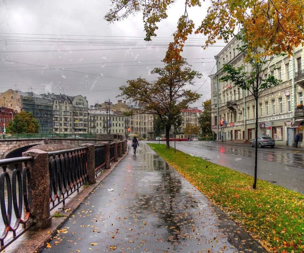 Река Карповка Санкт-Петербург. Набережная Карповки 10. Санкт-Петербург улицы. Дождливая набережная Питера. Пасмурный питер