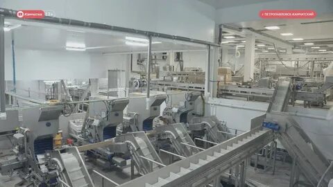 Колхоз завод