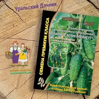 Уральский дачник
