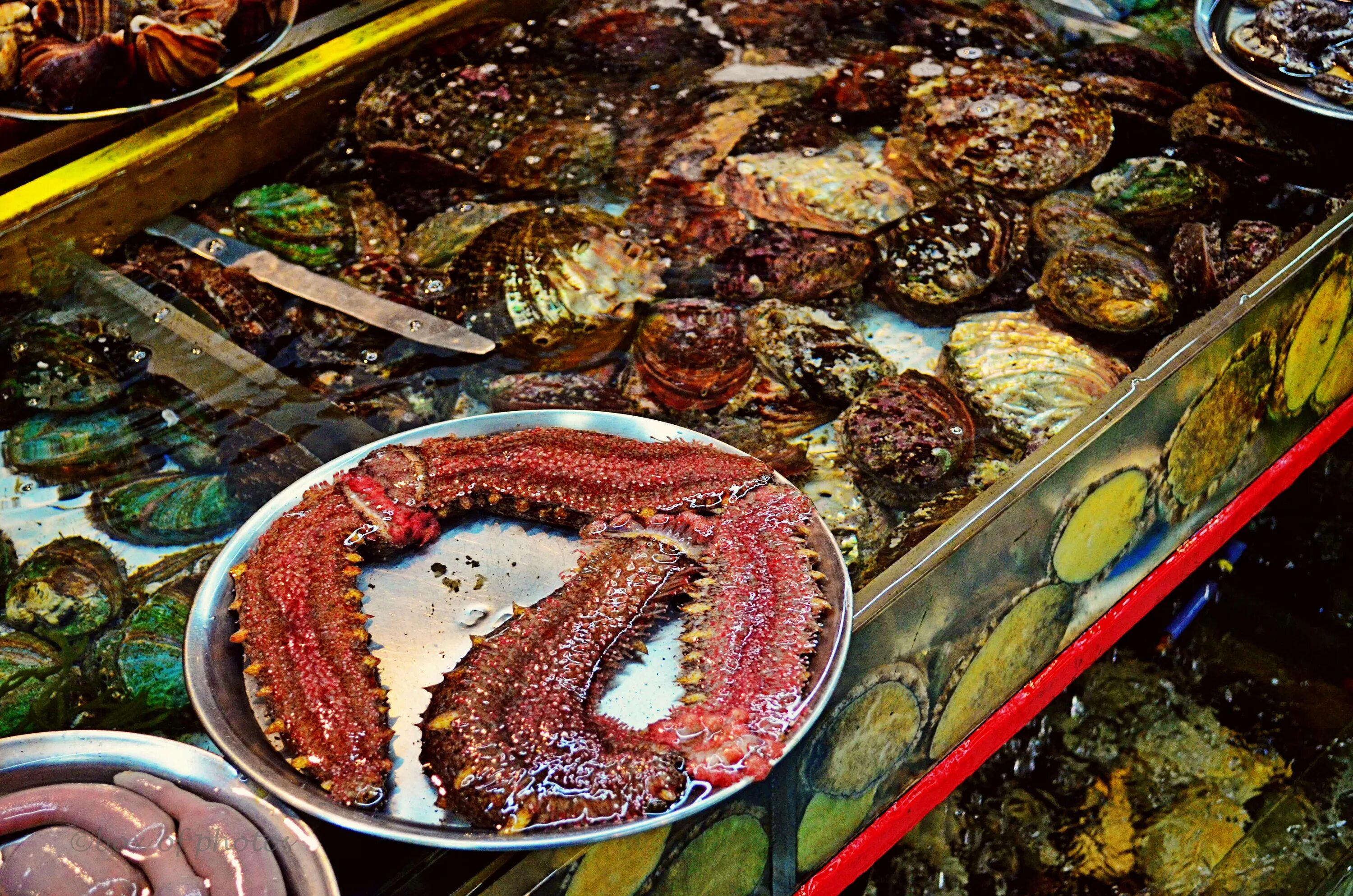 Рыбный рынок какое метро. Рыбный рынок в хургаде. китайский рынок морепродуктов. рынок морепродуктов бали. рынок морепродуктов в москве.