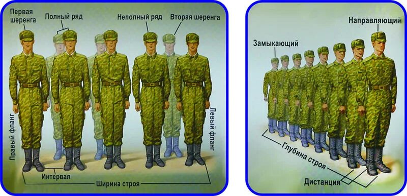 Виды строя шеренга. Устав вс рф строй шеренга. шеренга армия вид спереди. строевой устав строй шеренга. элементы строя.