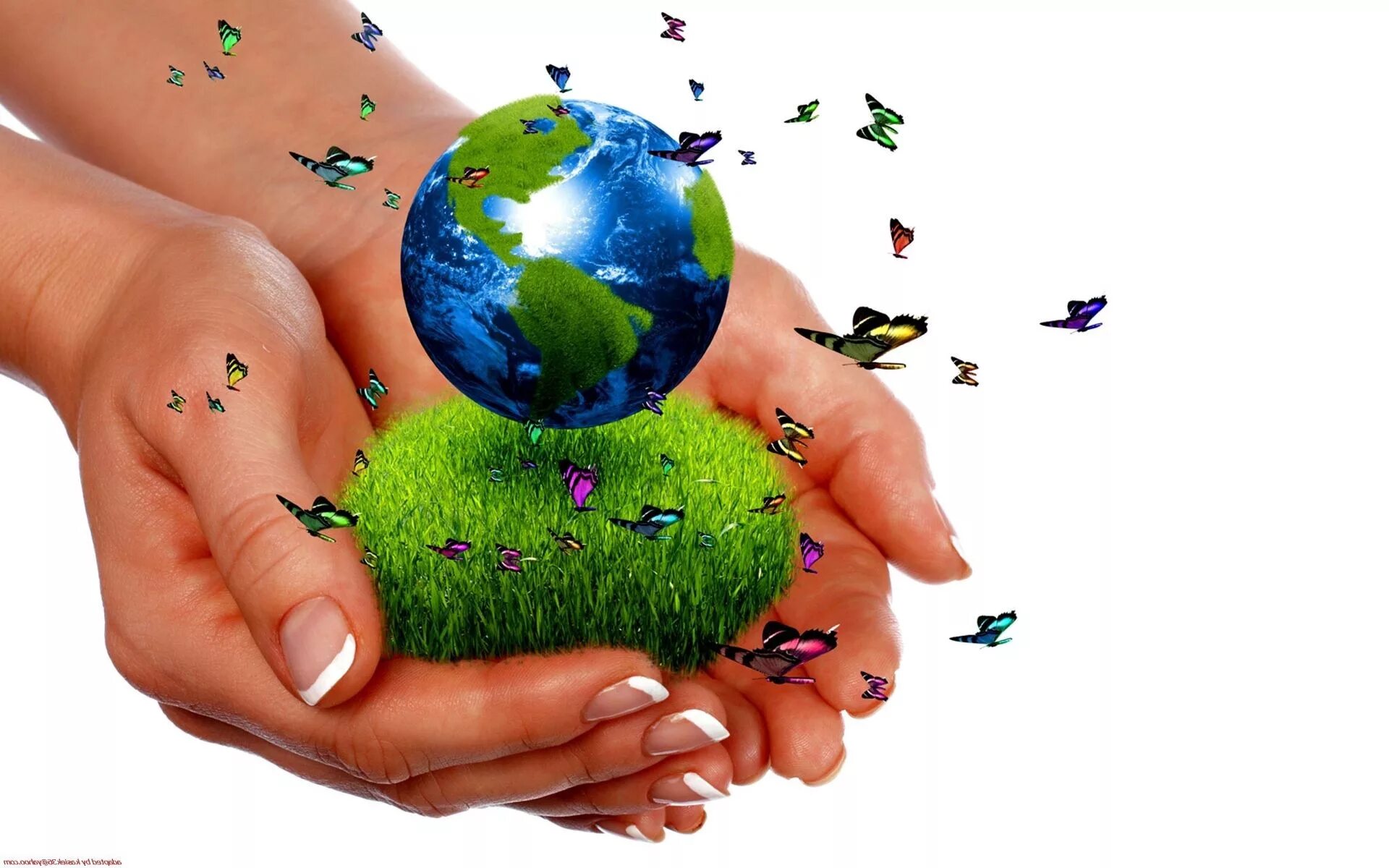 Планета земля сохранить. Планета в руках человека. Земля в руках человека. Экология планеты. Планета в руках экология.