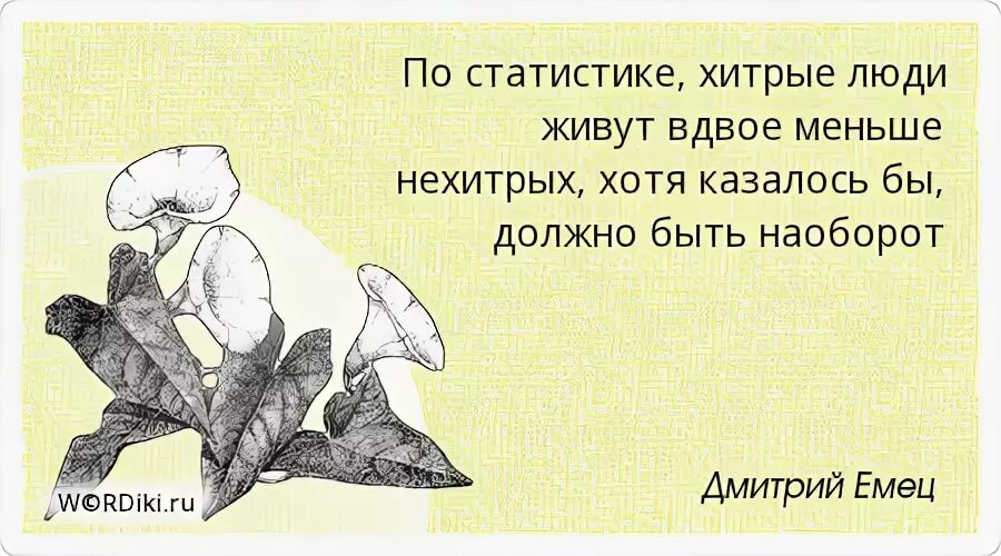 Говорят о хитром человеке