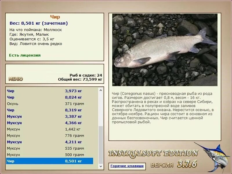 русская рыбалка 4 рыбец прикормка. реальная рыбалка чир. награда рыбаку русская рыбалка 3. реальная рыбалка рыбы. статуя рыбы в worldbox.