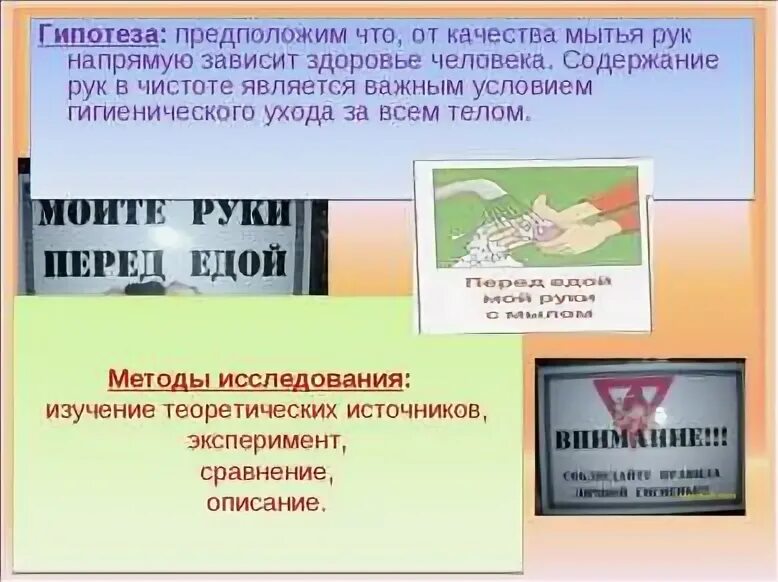Содержание руки