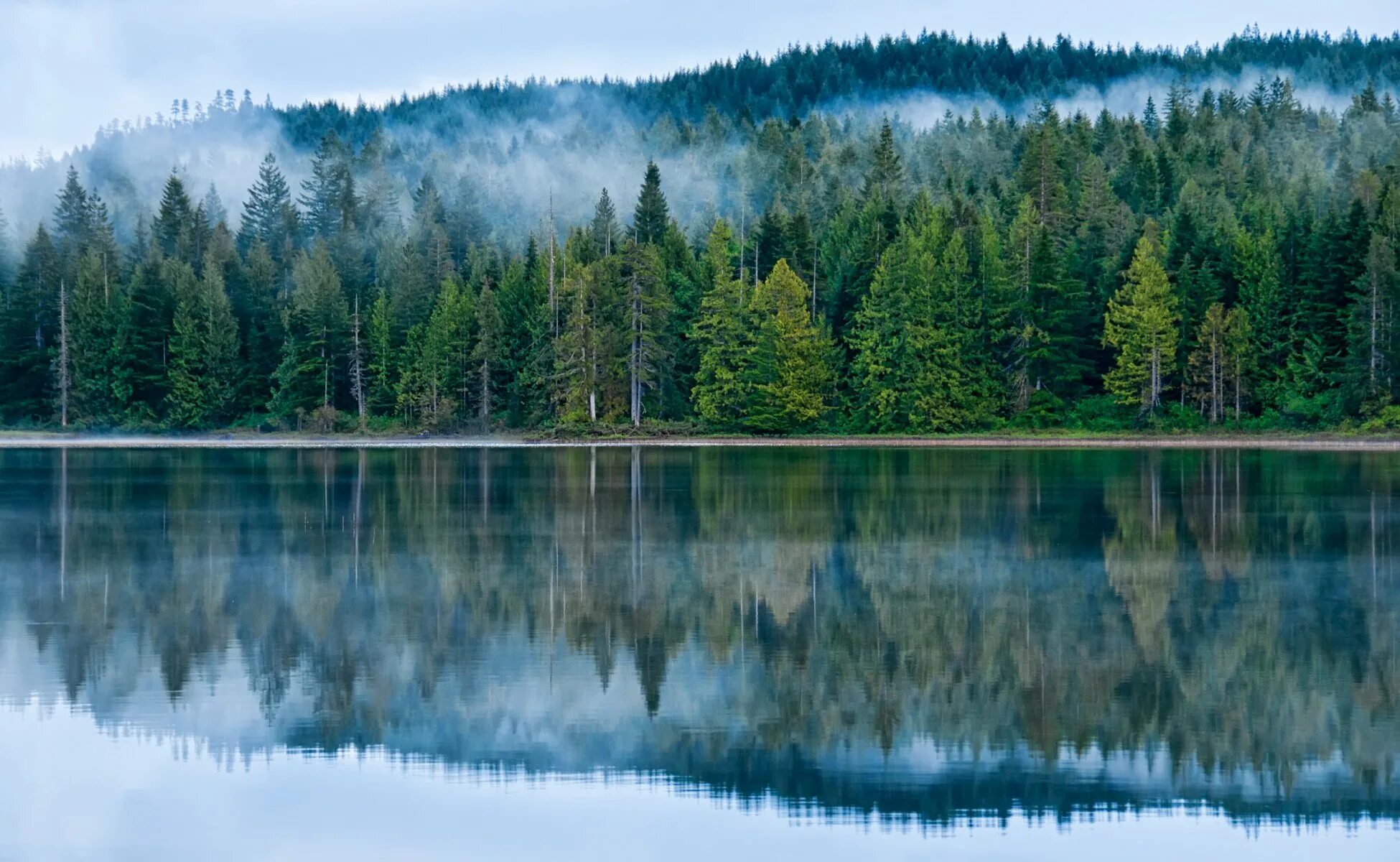 Озеро Северная Тайга. Оленье озеро Канада. Лесное озеро (Forest Lake). Озеро чейбеккёль. Зона тайги воды