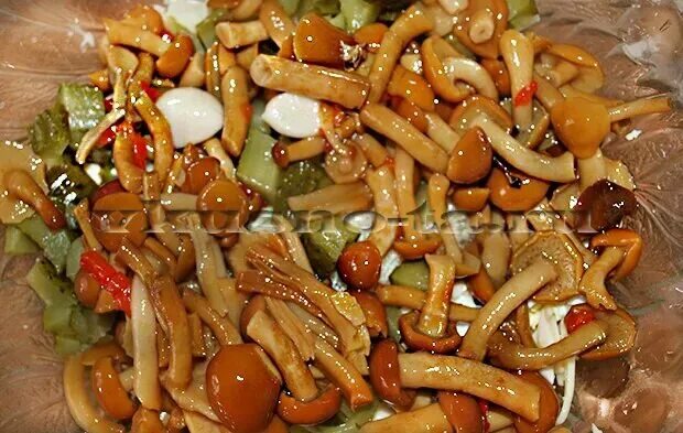 Салат с опятами и маринованными огурцами - рецепты с фото