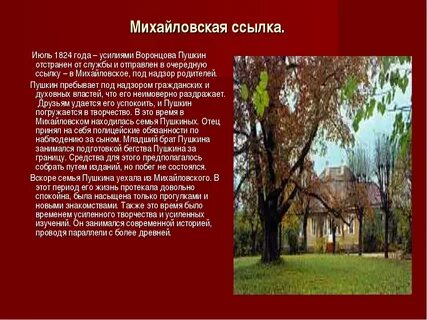 Годы пушкина в михайловском