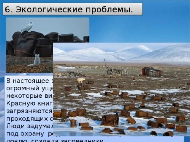 Проблемы охраны пустыни. Экологические проблемы арктики. экологическая обстановка в арктических пустынях. экологические проблемы арктических пустынь. арктические пустыни экология.