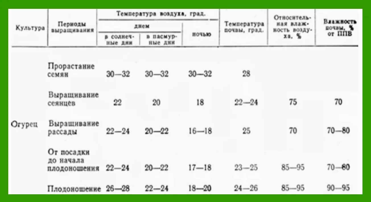 Температура посадки огурцов. Урожайность огурца в теплице с 1 м2. Оптимальная влажность почвы для огурцов в теплице. Температура выращивания рассады различных культур. Температура почвы для огурцов.